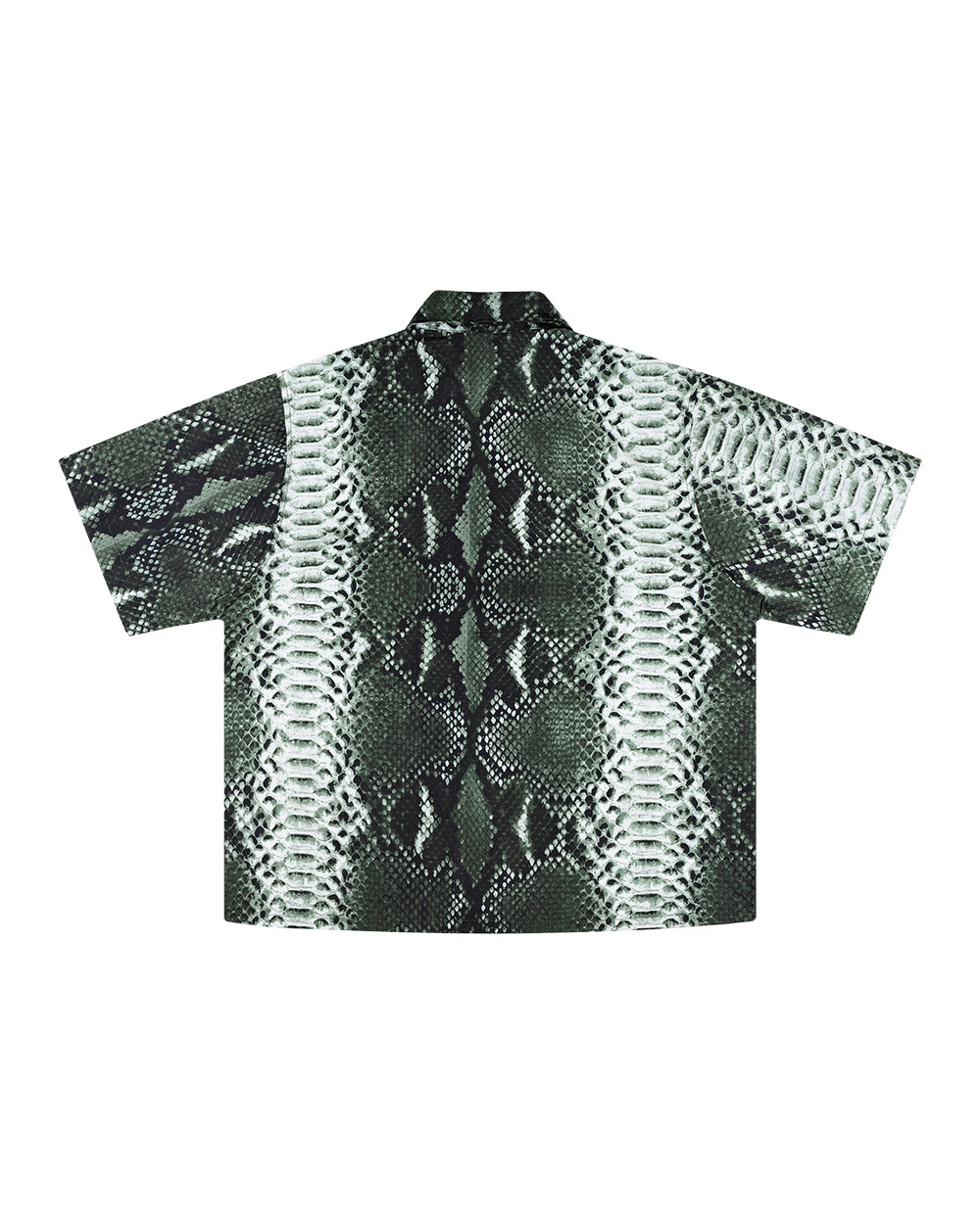 CAMISA SERPENTE CURVAS