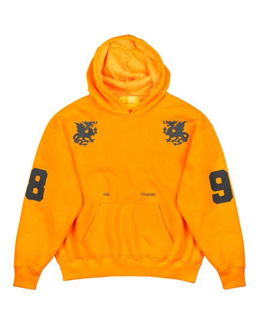 BLUSA MOLETOM - 98 (LARANJA)