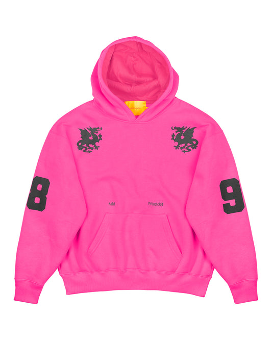 BLUSA MOLETOM - 98 (ROSA)